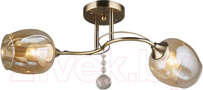 Потолочный светильник Mirastyle SX-N-3828/2