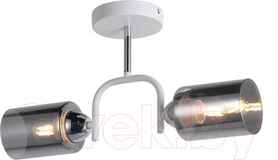 Потолочный светильник Mirastyle MD-8140/2 WH+CR