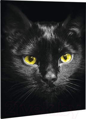 Набор алмазной вышивки Школа талантов Черный кот / 3690742