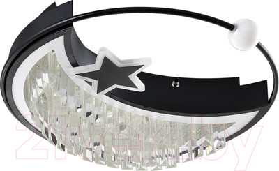 Потолочный светильник LED4U L8024-450 BK