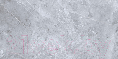 Плитка Zerde Tile Pulpis Grey матовый (600x1200)