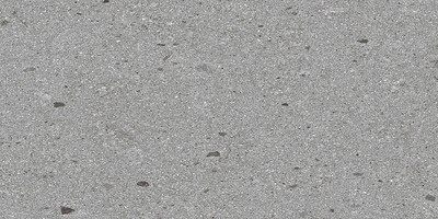 Плитка Zerde Tile Terrazzo Grey матовый (600x1200)