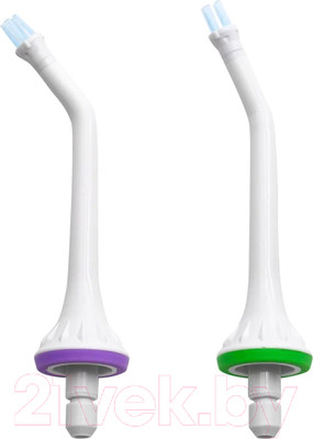 Набор насадок для ирригатора Revyline RL 200/200xl/210 Тип В / 4731 (2шт)