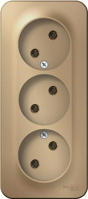 Розетка Systeme (Schneider) Electric Blanca BLNRA000314