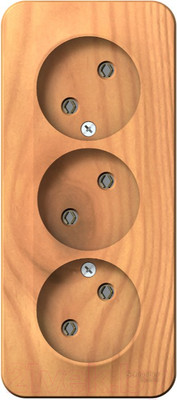 Розетка Systeme (Schneider) Electric Blanca BLNRA000315