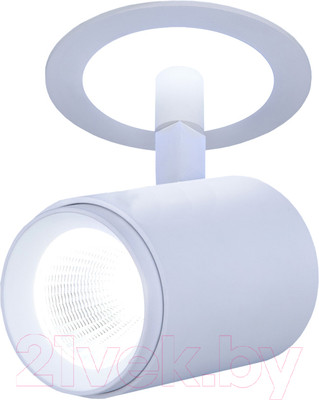 Спот Elektrostandard DSR002 9W 6500K (белый матовый)