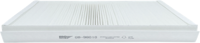 Салонный фильтр BIG Filter GB-98010