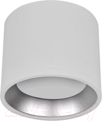 Точечный светильник INhome НПБ Цилиндр GX53-CH/WH / 4690612046563