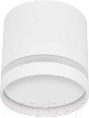 Точечный светильник INhome НПБ Цилиндр-GX53-NL-WH / 4690612046532