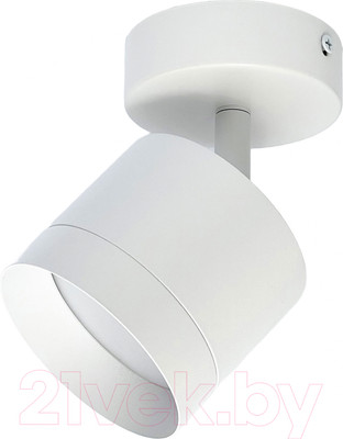 Спот Truenergy 21027