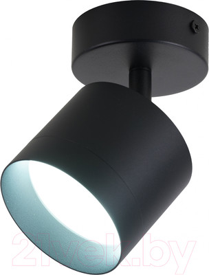 Спот Truenergy 21028