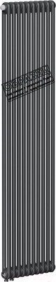 Радиатор стальной Rifar Tubog 2180-10-D1 (нижнее подключение, антрацит)