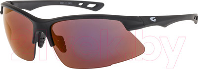 Очки солнцезащитные GOG E691-1 (черный матовый)