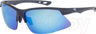 Очки солнцезащитные GOG E691-2 (темно-синий матовый/синий)