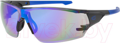 Очки солнцезащитные GOG E695-2 (синий/черный матовый)