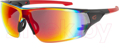 Очки солнцезащитные GOG E695-3 (красный/черный матовый)