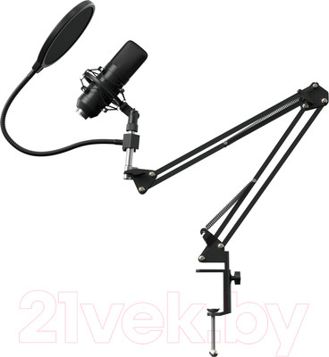 Микрофон Оклик SM-700G (черный)
