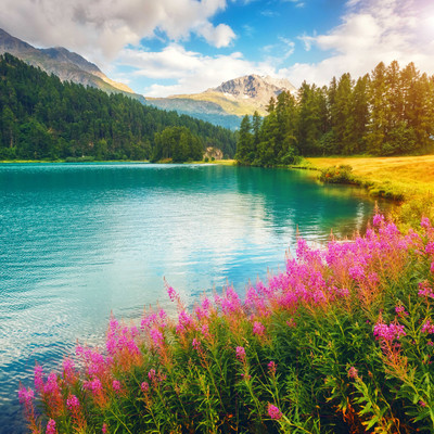 Набор алмазной вышивки Феникс+ Цветение в горах / 65548