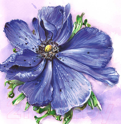 Набор алмазной вышивки Феникс+ Анемона / 65551