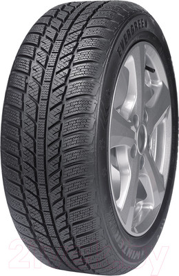 Зимняя шина Evergreen EW62 175/65R14 82H