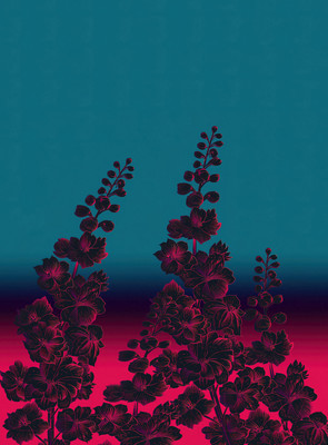 Картина Vimala На холсте 50x70 / Арт 53