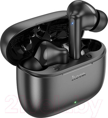 Беспроводные наушники Hoco EQ2 TWS (черный)