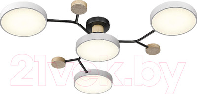 Потолочный светильник Velante 446-007-04