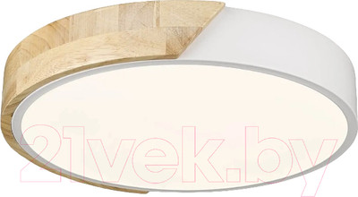 Потолочный светильник Velante 445-007-01