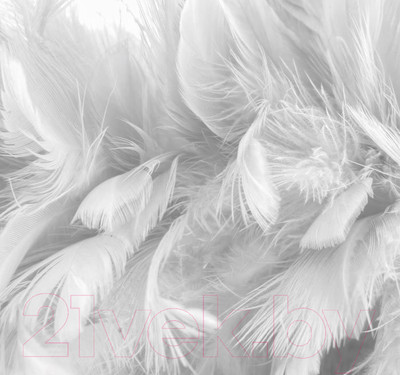 Фотообои листовые ФабрикаФресок Серые перья / 153280 (300x280)