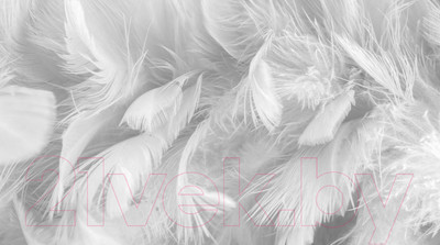 Фотообои листовые ФабрикаФресок Серые перья / 155280 (500x280)