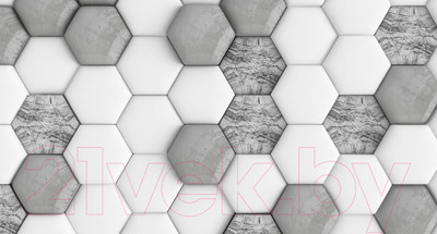 Фотообои листовые ФабрикаФресок Шестиугольники / 645270 (500x270)