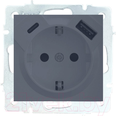 Розетка Lezard Vesna 742-3488-181TC