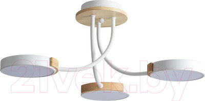 Люстра Lumion Arley 5654/54CL