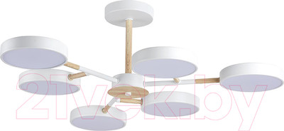 Люстра Lumion Brad 5652/99CL