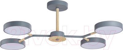 Люстра Lumion Brad 5651/72CL