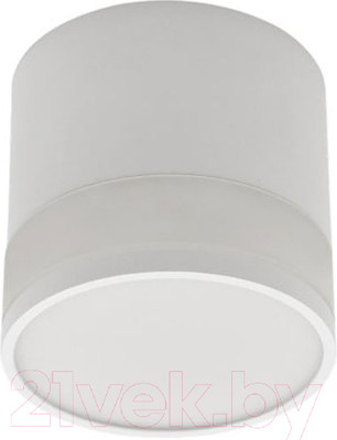 Точечный светильник INhome НПБ Цилиндр-GX53-WL-WH / 4690612045733 (белый)