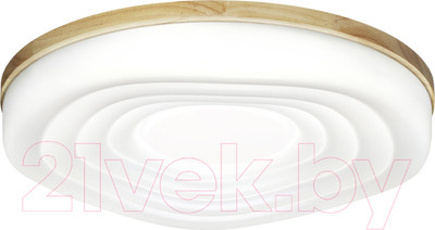 Потолочный светильник Sonex Pale 7674/DL