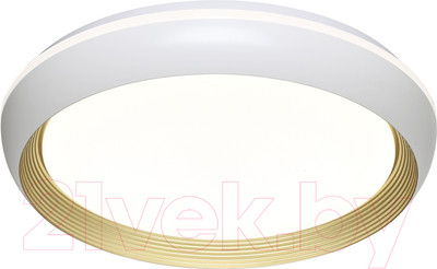 Потолочный светильник Sonex Pale 7650/DL