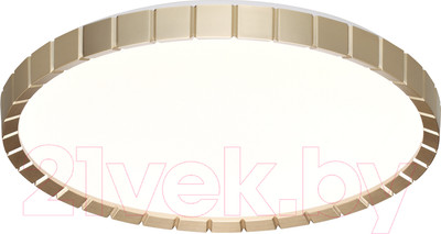 Потолочный светильник Sonex Pale 7648/EL