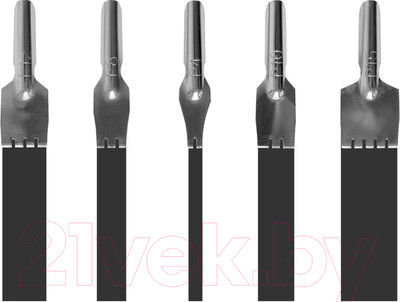 Набор перьев для каллиграфии ArtSpace CN_41221 (5шт)