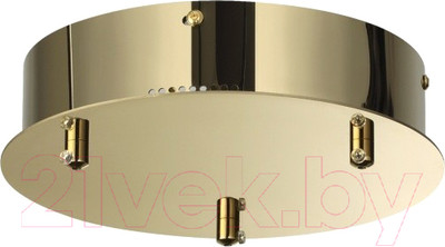 Потолочная база для светильника Odeon Light Panta 4926/3R