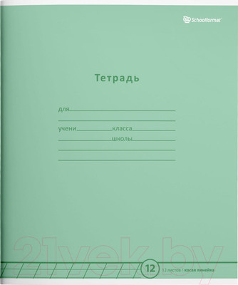 Набор тетрадей Schoolformat ТШКЛ12-ПЗЛ-НМП (20шт, пастельный зеленый)