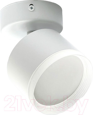 Спот Truenergy 21037