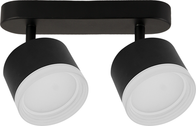 Спот Truenergy 21038