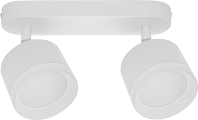 Спот Truenergy 21039