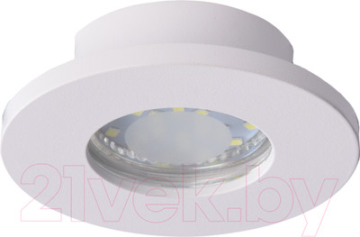 Точечный светильник Truenergy 21243