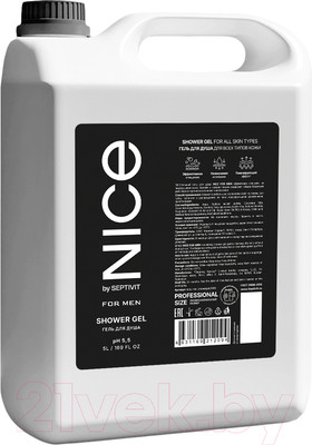 Шампунь для волос NICE by Septivit Для всех типов волос мужской (5л)