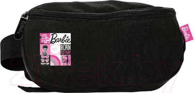 Сумка на пояс Paso BB22ZZ-510