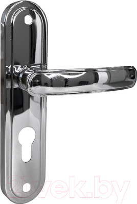 Ручка дверная Vettore 55.325 CP (хром)