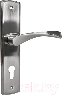 Ручка дверная Vettore 72.323-2 SN (сатин)